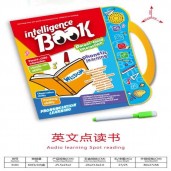 https://www.bcalpo.com/intelligence book